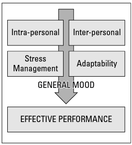 effective performance model.png